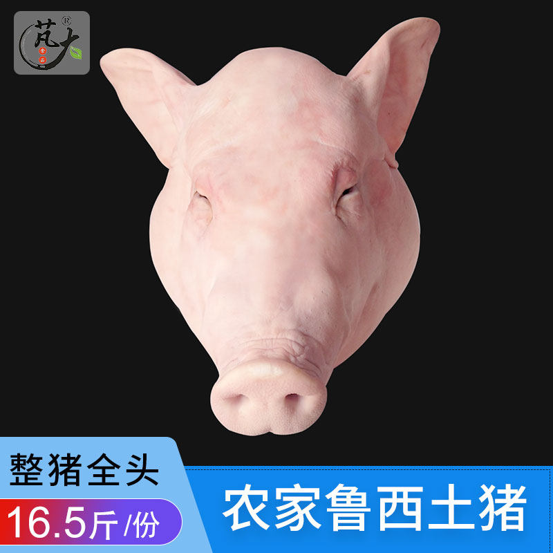 Pengda food whole pig head whole 16 5 catties fresh pig head meat fresh pig head with pig ears pig tongue pig brain