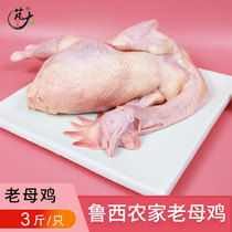 Large Food Russi farmhouse Old hen Chicken Lower single slaughtering 3 catties of fresh quick-frozen vacuum Sanhuang Chicken Shunfeng