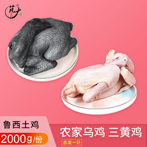 The Big Food Russi farmhouse Three-yellow Chicken Ubone Chicken Urooster and Fresh Tender Three Yellow Chicken Each 1 Shunfeng