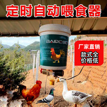Automatic feeding of chickens with chickens feeder duck feeding machines Pigeon Timing Baiting Instrumental Solar Eclipse Teletheon