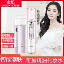 Golden Rice Nano Spray Moisturizer Female Small Portable Charging Humidifier Face Handheld Beauty Moisturizing artifact