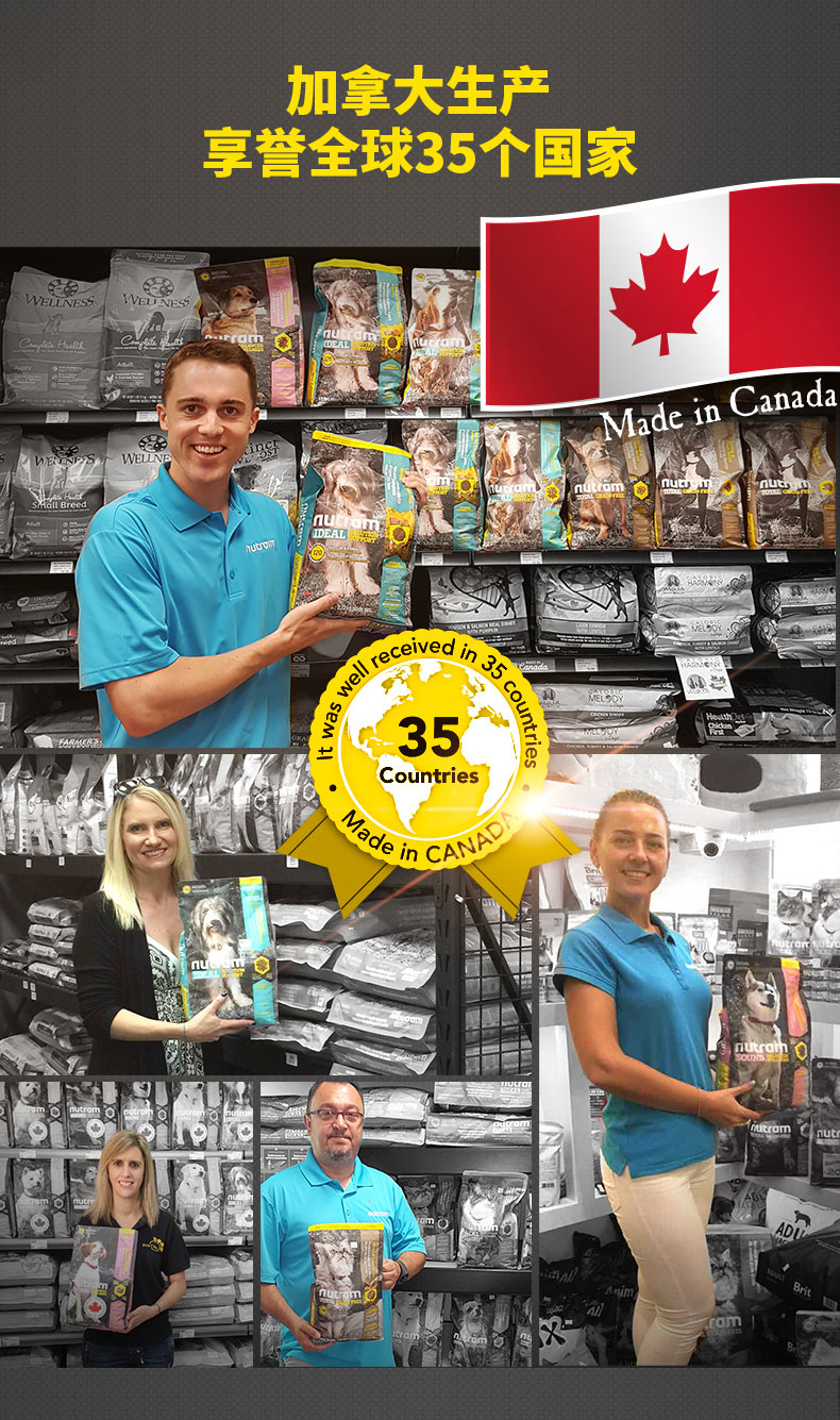Canada Canada Newton Nutram Valley Whole Age Cat Food Bone Squid Salmon 1,5kg T24 - Cat Staples hạt catsrang cho mèo con
