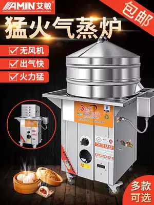 Aimin commercial gas steamer electric steamer STEAMED BUN steamed buns snack steam stove Collet machine stall anti-dry burning