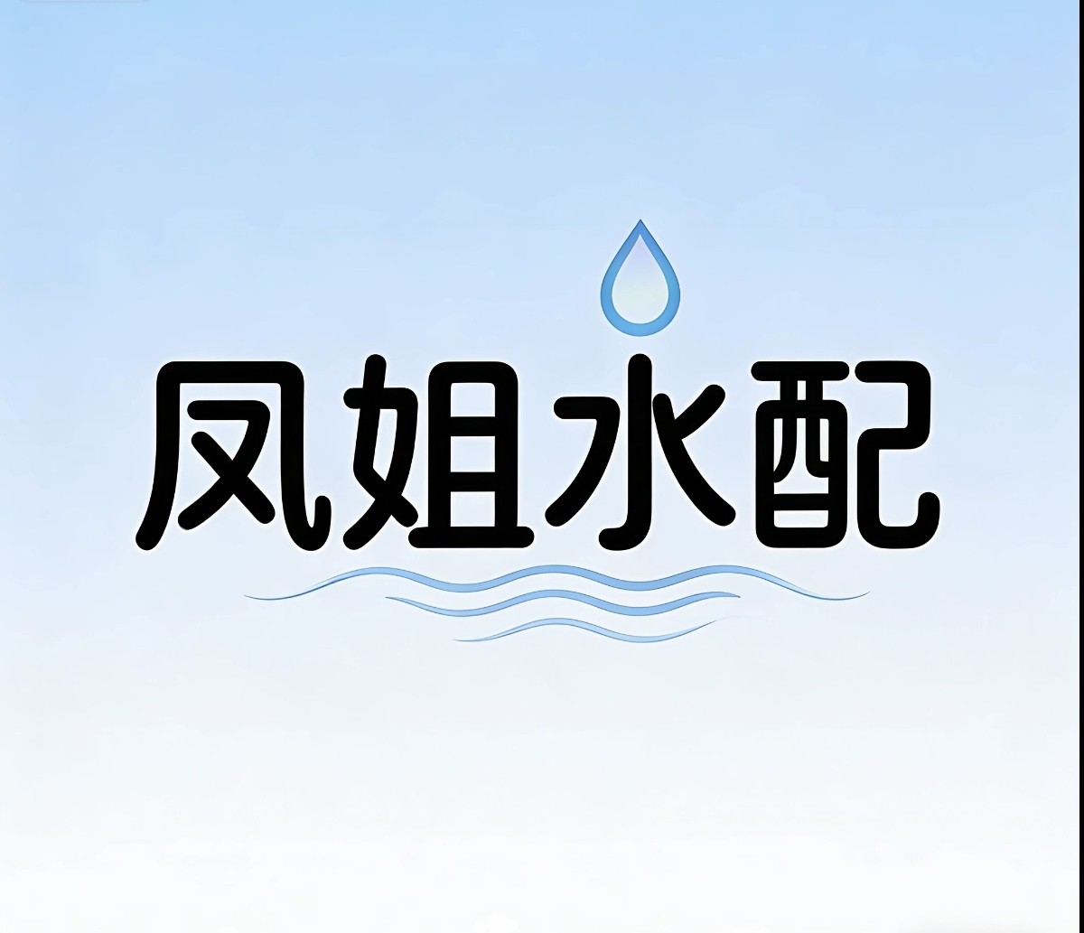 凤姐厨卫