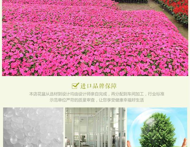 Giống làm vườn, hoa, rau, xẻng nhỏ, thích hợp cho trẻ mẫu giáo, trồng trọt gia đình, xẻng - Nguồn cung cấp vườn vòi nước tưới cây