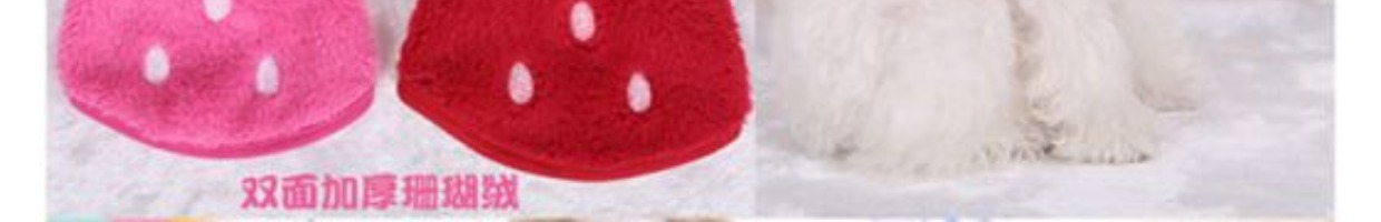 Quần áo chó sữa mùa xuân và mùa hè siêu nhỏ Mini Teddy dog ​​mùa thu và mùa đông hơn gấu chó con chó quần áo trang trí chihuahua mùa hè - Quần áo & phụ kiện thú cưng quần áo thú cưng size lớn