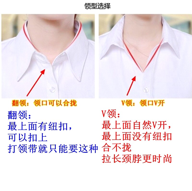 大码内搭 超大码女衬衫200斤胖mm职业女衬衫长袖舒适免烫不缩水翻领v领 Other