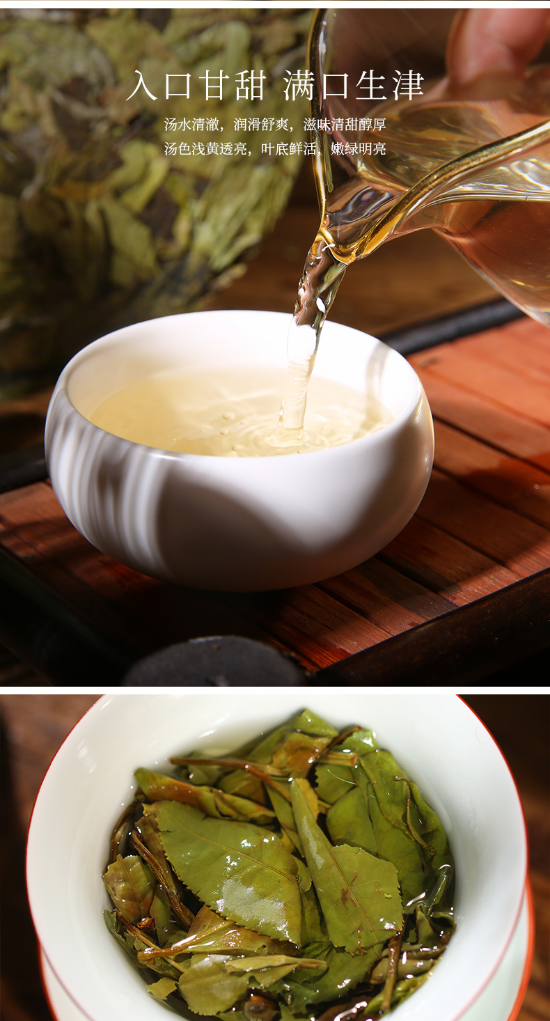 史低 天猫连续3年销冠 馥益堂 福鼎白茶 100g 图4