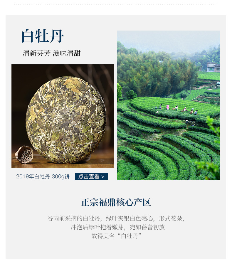 馥益堂 福鼎白茶 白牡丹+寿眉 4包 品鉴装 图4