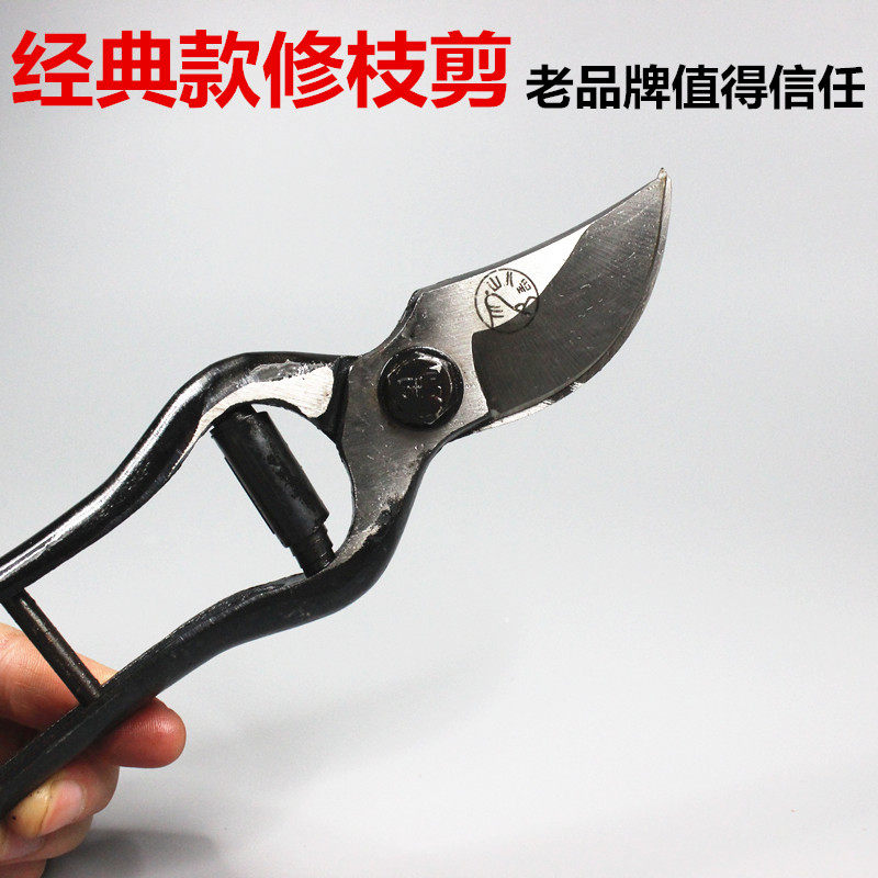 花艺剪刀园林工具花木修剪树枝剪刀果树剪刀粗枝剪修枝剪园艺剪刀