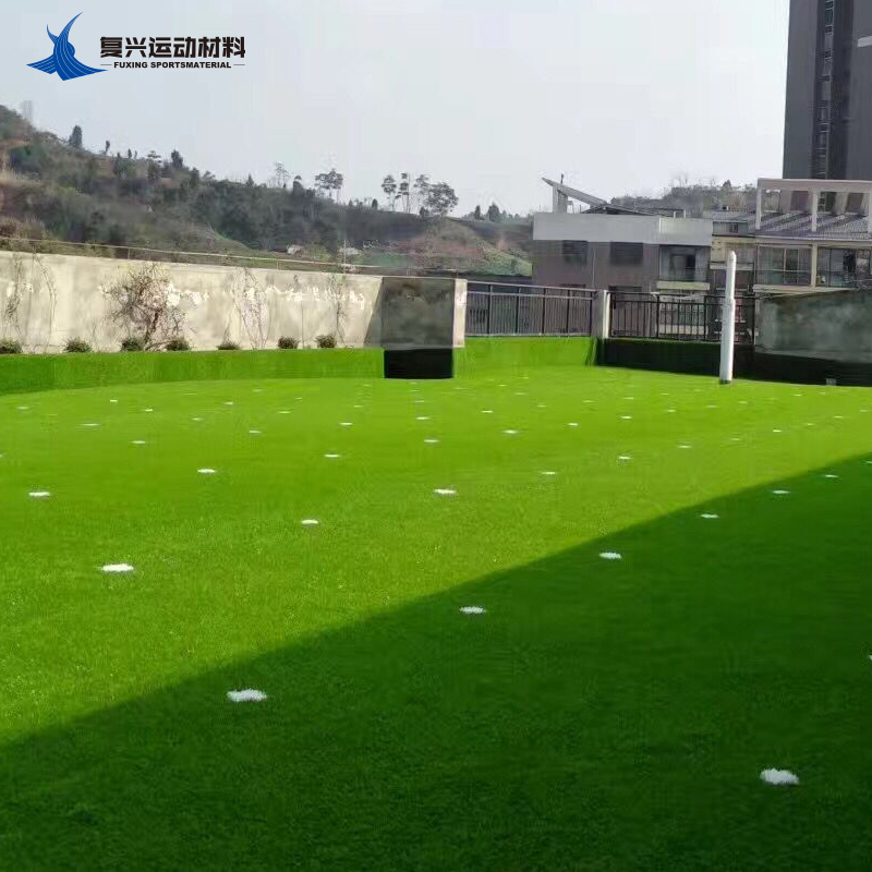 Chengdu Suining Shehong Primary and Secondary School Sports Plastic Stadium Track Soccer Field Environmentally Friendly Artificial Turf Artificial Grass