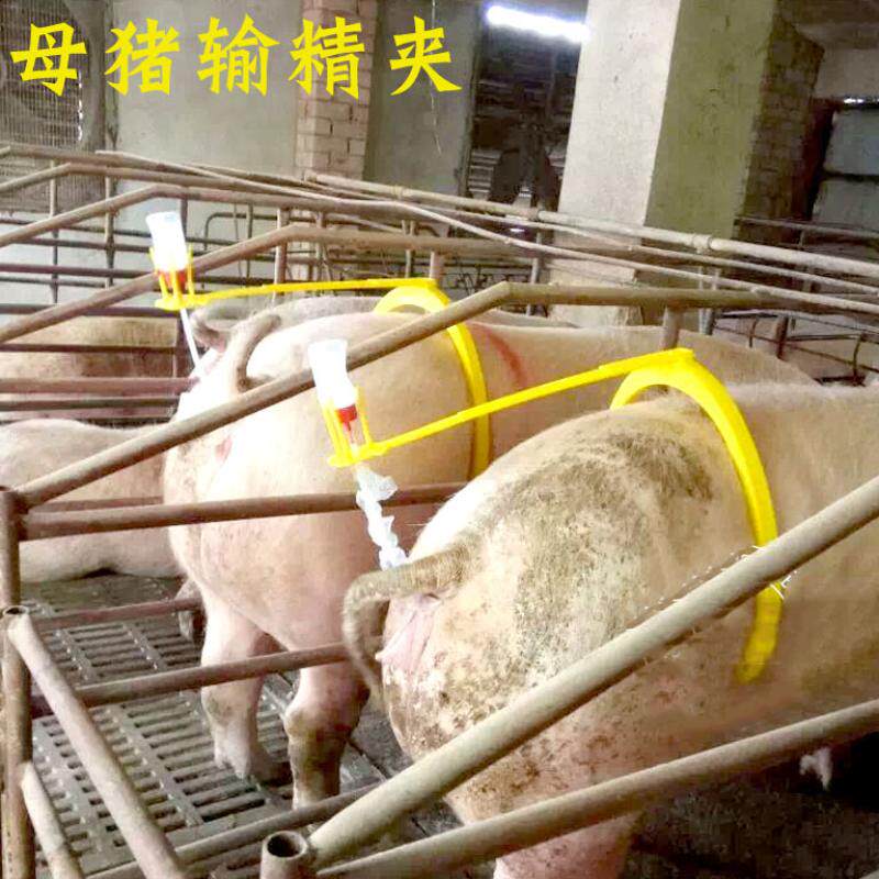 Animal Use Instruments Breeding Pig Supplies Beast with Lean Clip Delivery Stent Large Sow Waist Clip of Pregnancy Deserve