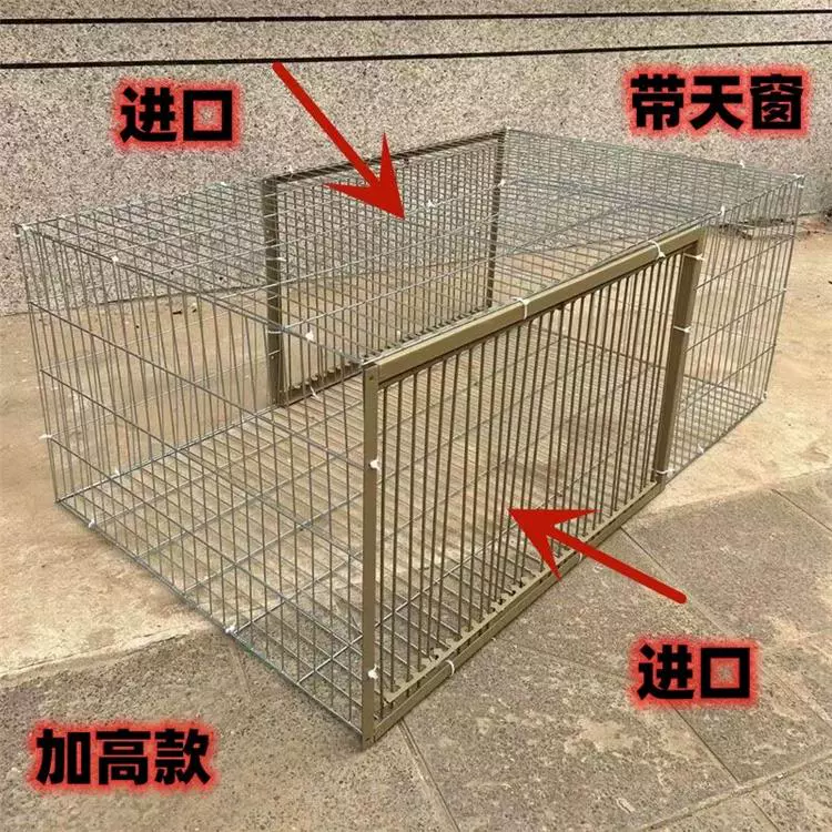 Thiết bị chim bồ câu chỉ có thể bay lên trời, rơi vào lồng và thu lồng chim bồ câu ra ngoài trời để bắt giữ bẫy tạo tác chim bồ câu.