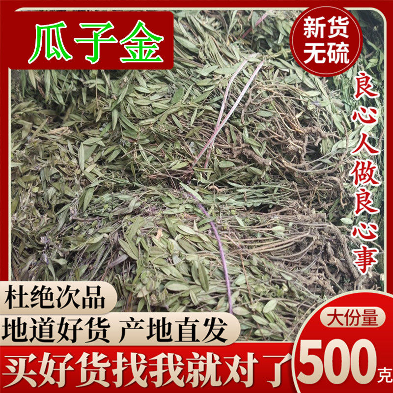 Melon seed Chinese herbal medicine to horse back to the sand grass golden lock spoon melon grass hanging rice grass 500 gr