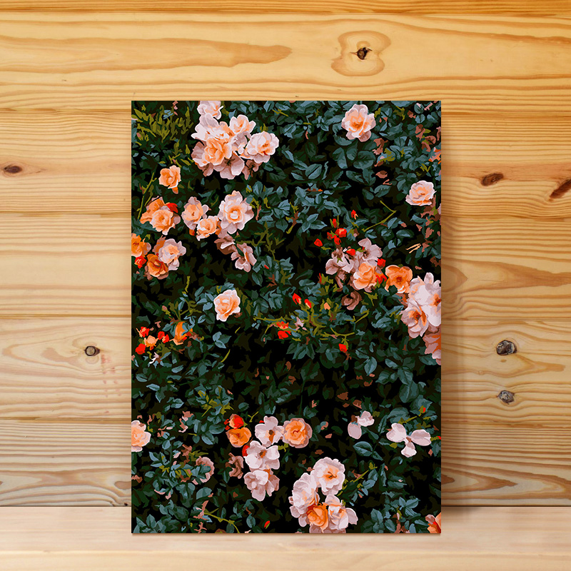 Self-painted digital oil painting diy filling painting filling oil painting acrylic hand-painted decorative painting rose