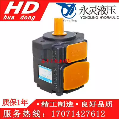 Zhejiang YLC Xianju Yongling hydraulic PV2R1-10-F1 4 17 19 23 25 28 31 quantitative vane pump