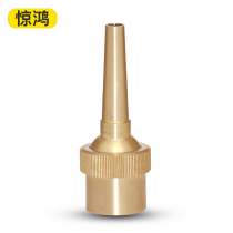 Pure Copper Mushroom Straight Shot Adjustable Fountain Nozzle Direct Current Water View Landscape Pool Fish Pool Music Fountain spa nozzle