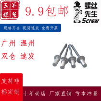 304 stainless steel core blind rivets open type core blind rivets round head aluminum blind rivets M2-M6
