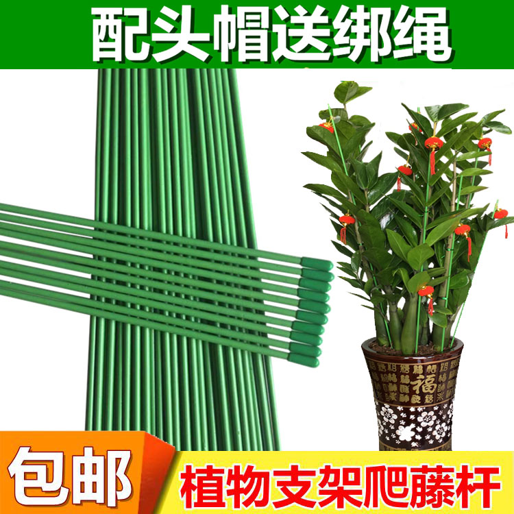 Wire lily roses for tying flowers, bamboo money tree flowers, telescopic poles, fixed flower brackets, potted support sticks