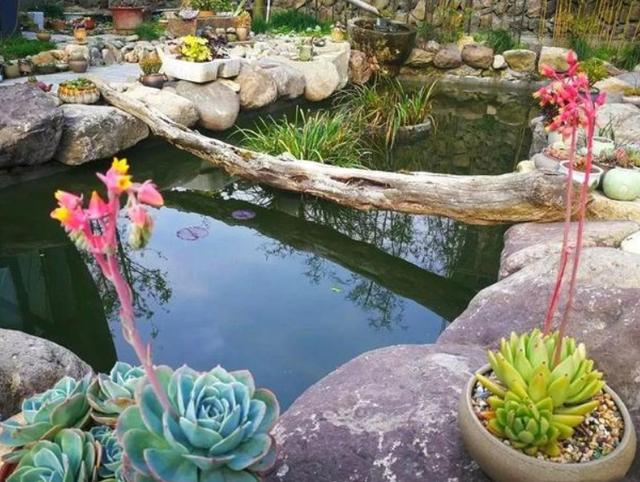 新盆或闲置花盆能立刻栽花吗 跟着学一招 宅家美丽生活的我爱搜罗