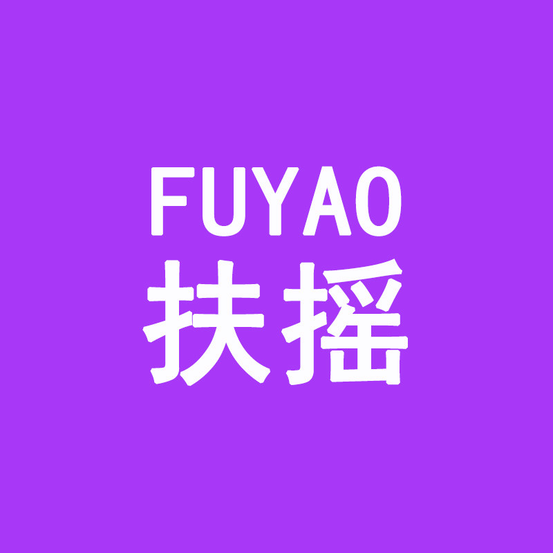 扶摇数码店