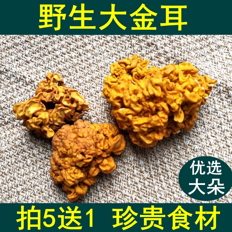 Yunnan Golden Ear Golden Ear 50g special products of dry goods non - fresh wild brain earyellow earyellow ear mushroom