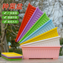 Strawberry potted pot balcony planting vegetables home artifact roof large flower pot large flower pot landing large planting pot long strip