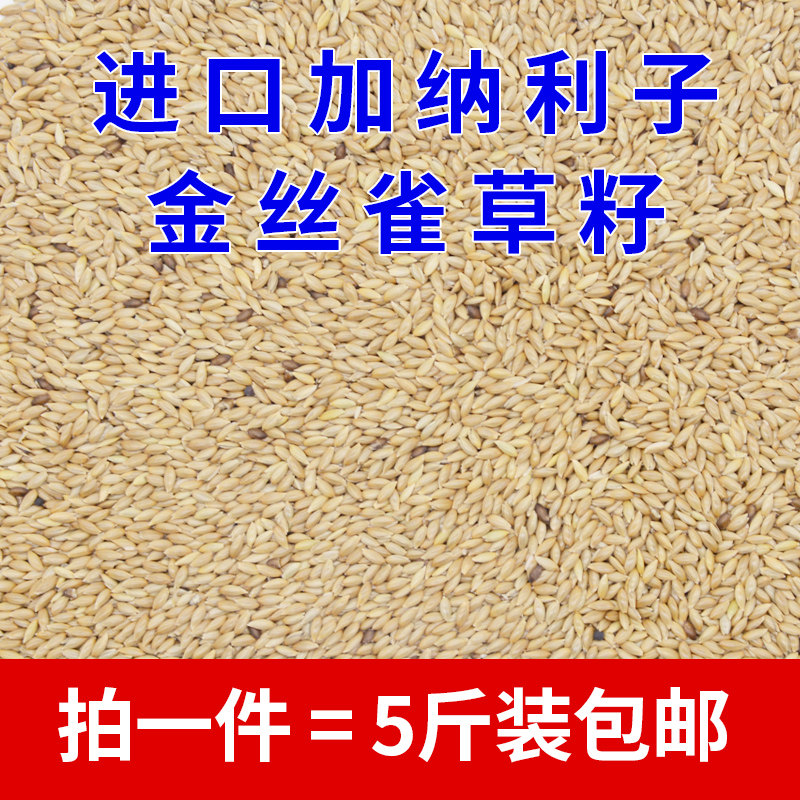 Ganali Sub Imported Parrot Bird Food Feed Oil Spike Millet White Spike Corn with 5 kilos-Taobao