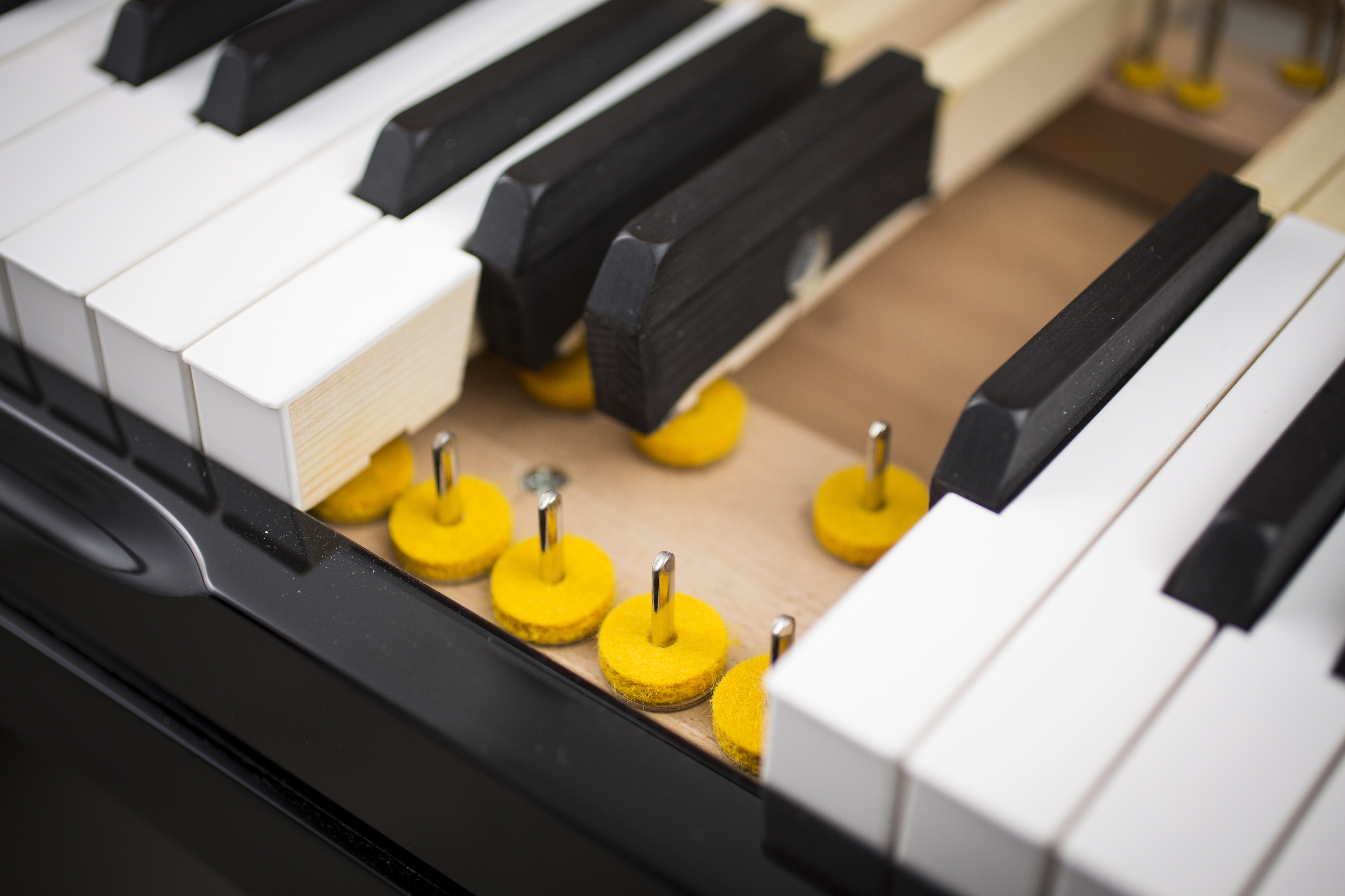Đàn piano Fulrich FEURICH của Đức F133S đàn piano gia đình chuyên nghiệp chơi đàn piano piano one