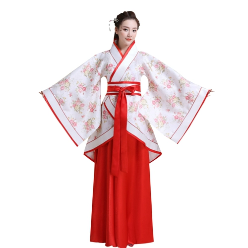 Традиционная ханфу женская юбка из китайского стиля Большие юбки - это свежие, элегантные, элегантные династии династии, кино студия тема, одежда для взрослых подарочные костюм