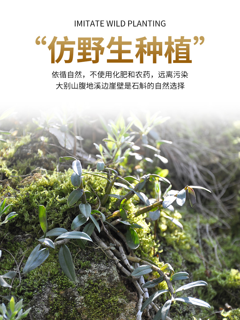 4.9分，清甜无渣：30g 修正 5年顶芽 霍山铁皮石斛粉 26元包邮 买手党-买手聚集的地方