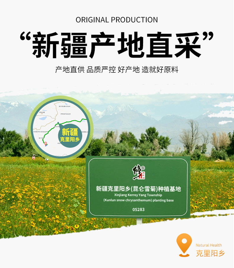 百年修正 昆仑雪菊 花茶 30g 新疆直供 图6
