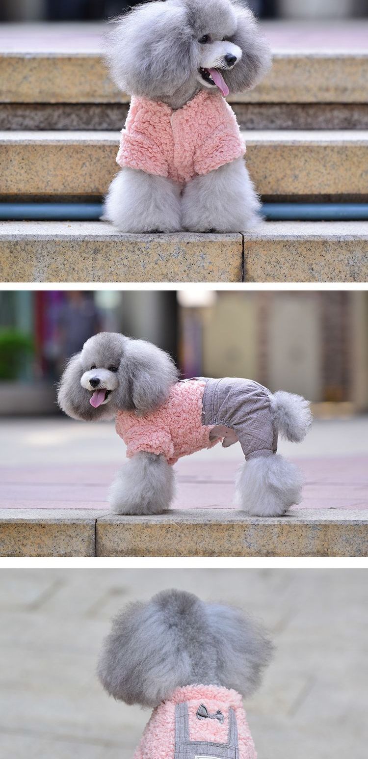 Quần áo chó Teddy quần áo bốn chân mùa xuân mèo trang phục chó nhỏ hơn gấu poodle vật nuôi chó con quần áo mùa thu và mùa đông - Quần áo & phụ kiện thú cưng mua áo cho chó