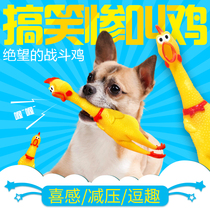  Screaming chicken Screaming chicken Toy chicken decompressor sound monster screaming chicken desperate can bark fighting chicken Dog toy Bite-resistant