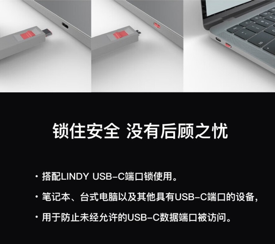 🔥USB-C接口神器推荐!德国LINDY锁头钥匙套装🌟-USB电脑锁-淘宝好物网