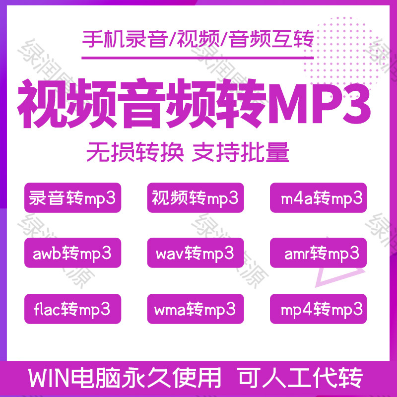 Audio Recording Format Converter M4A Wav Amr Awb Acc Wma Flac Video Lossless Conversion to Mp3