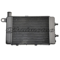 Applicable Yamaha RSV1000 02-05 years Water tank assembly water tank radiator water cooler to the left L