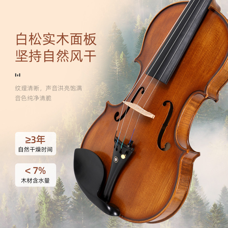 Купить Скрипку Для Начинающих Взрослых