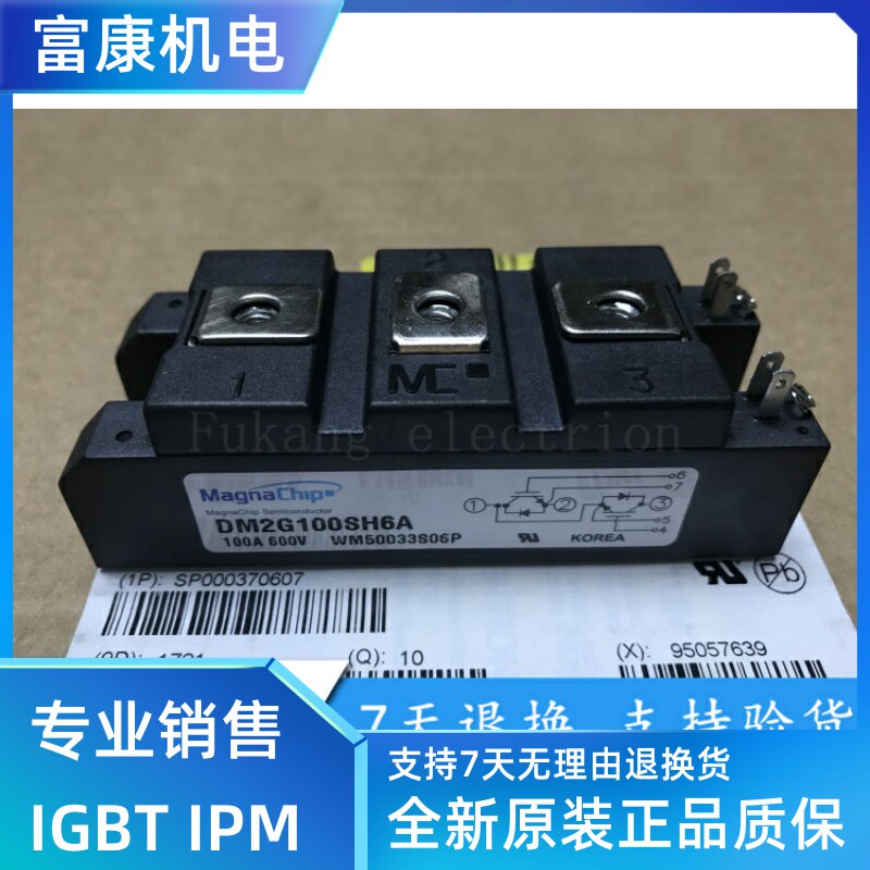 DM2G100SH6A DM2G100SH6N 100A 600V