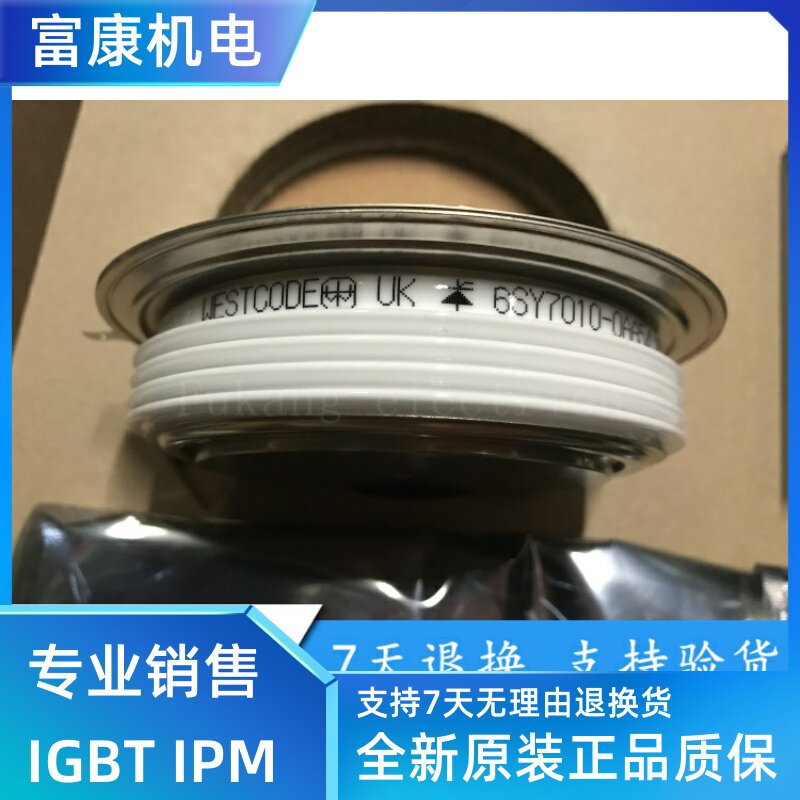 6SY7010-0AA41 0AA42 0AA45 0AA47 0AA49 0AA50 0AA52 thyristor module