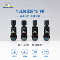 Michelin car tire valve air seal mouth hub air core set cap set original quality package installation
