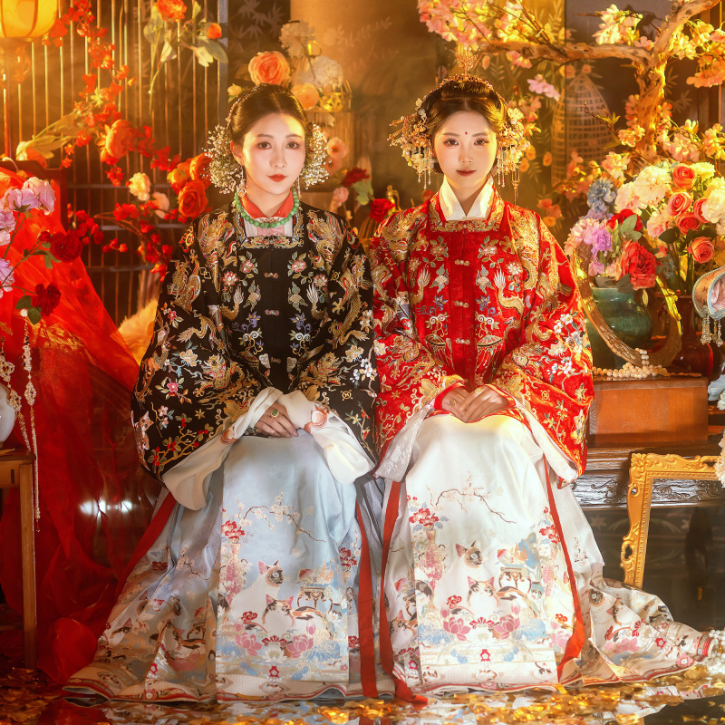 Jinse Clothing Store's New Year's Hanfu in the Style of the Ming Dynasty for Women, Featuring a Hundred Cat Designs and a Hundred Beautiful Skirts