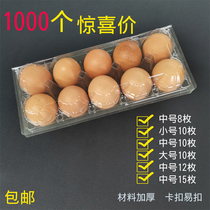 Small medium large 8 10 15 native egg packaging box disposable transparent plastic egg tray label sticker