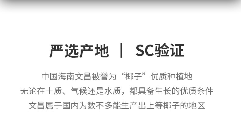 谷本道元 装饰蛋糕面包原材料 椰蓉120g