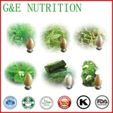 Экстракт Red Elite 10: 1 100G Бесплатная доставка