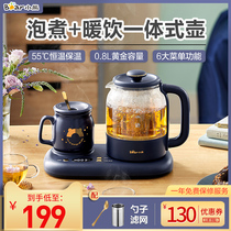 Small Bear Health Preserving Pot Home Multifunction Cooking Tea Machine Office Mini Mini Fully Automatic Mini Glass Cooking Teapot