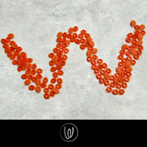 Veloplugs tire pad particles bicycle rim hole plugs granular replaces high-pressure linings seals well