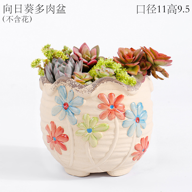 More meat meat plant POTS ceramic special offer a clearance through pockets tao cuhk small caliber mage high old from running