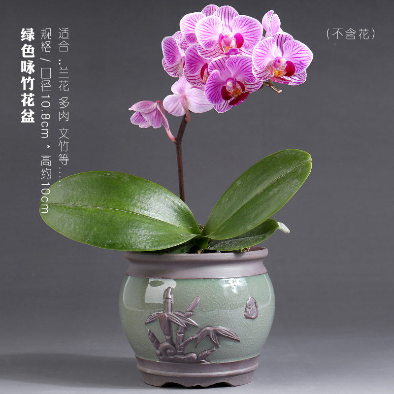 Butterfly orchid flower POTS vent size special creative purple high - grade ceramic pot round expressions using basin a clearance sale