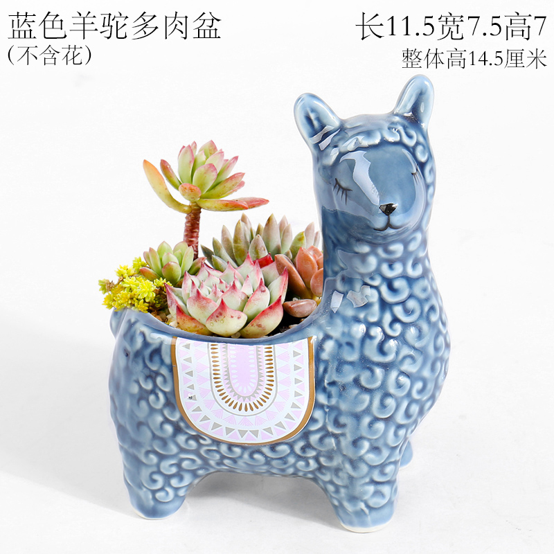 Blue creative move alpaca small express it in mini thumb animal flowerpot ceramic furnishing articles long square more than meat